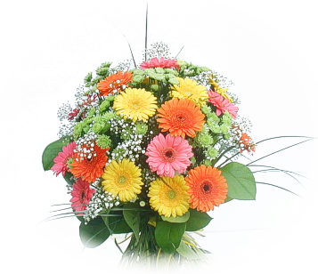 Ankara Sincan Demetevler Çiçekçi firma ürünümüz karışık gerbera mevsim çiçek buketi