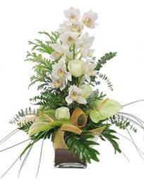 cam vazo içerisinde 1 dal orkide çiçegi 