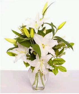 Ankara Sincan çiçek gönderme 4 dal cazablanca vazo çiçeği 